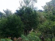 Lindo Sítio, Estudo Permuta por Praia!