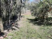 Lindo Sítio Tapiraí SP, 3 Alqueires, Br. Claros, Casa,...