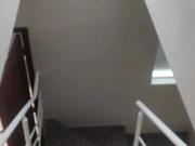 Lindo Sobrado com 3 dormitórios no Jd. D'Abril