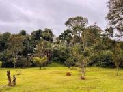 Lindo terreno gramado e com pomar!