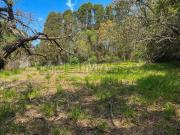 Lindo terreno pronto para construir em Ibiúna SP!
