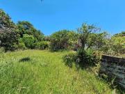 Lindos terrenos com árvores frutíferas e gramado