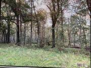 Line Rd, Ethel, Plot For Sale