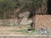 Linear Commercial 5 Marla Commercial Plot Park Phase...