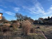 LINZ / PICHLING: JETZT haben Sie endlich einen GRUND Ihr...