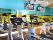 LionsHead Apartments 1 Bedroom Apartment for Rent at...