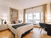 Lisas 1 chambre et terrasse dans le quartier du Louvre Lisas 1 chambre et terrasse dans le quartier du Louvre