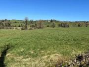 Lisataggart, Sherbird, Cavan