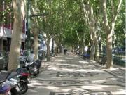 Lisboa Lisboa 86219965