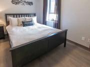 Lisgar 2 Bedroom Apartment for Rent at 169 Lisgar St,...