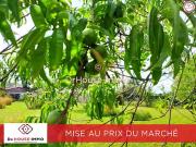 L'Isle Jourdain 86150 Achat / Vente terrain