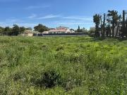 L'Isle sur la Sorgue 84800 Programme neuf terrain...