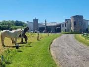 Lismanus, Dunleer, Drogheda, Dromin, Co. Louth is for rent