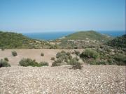 Litoranea Mattinata Vieste 10 vani 740000mq