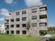 Live and live according to your ideas and dreams