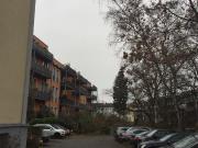 Living in the Ellernpark in the zoo district Hannover,...