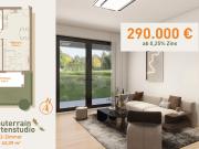 Living Sanddorn Urlaubsfeeling in den eigenen 4 Wänden,...