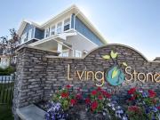 Living Stone Townhomes