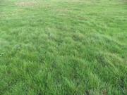 Lixy Vente Terrain 89