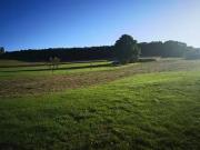 Lobsann 67250 Achat / Vente terrain