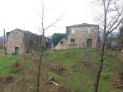 Loc.tà Ca del Moro 13 vani 600mq