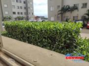 LocaÃ§Ã£o de Apartamentos / PadrÃ£o na cidade de SÃ£o Carlos