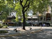 Local 11 x 21 entre piso apto todo Rubro frente a Plaza...