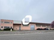 Local activite 1262