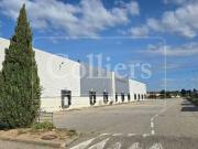 Local activite 20461