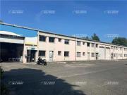Local activite 433