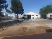 Local, Albacete
