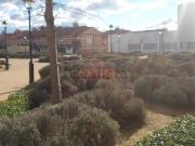 Local, Albacete Local, Albacete