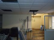 Local, Alcalá de Guadaira