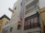 Local, Almadén