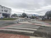 Local, Altea