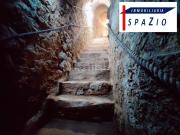 Local, Aranda de Duero