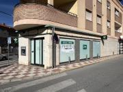 Local, Belicena