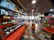 Local, Blanes