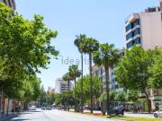 Local, Bons Aires, Palma de Mallorca