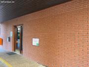 Local Calle Amsterdam