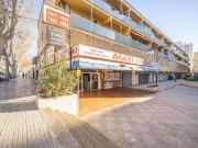 Local, Calvià