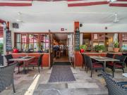 Local, Calvià