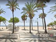 Local, Cambrils