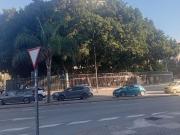 Local, Carranque Haza Cuevas, Málaga