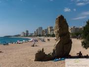 Local, Cavall Bernat Cala Rovira, Castell Platja d&apos Aro