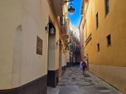 Local, Centro Histórico, Málaga