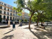 Local, Centro Histórico, Málaga