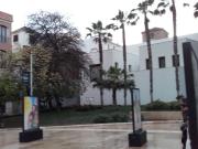 Local, Centro Histórico, Málaga