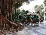 Local, Centro Tradicional, Alicante / Alacant