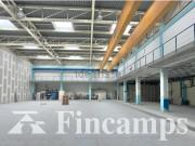 Local, Cerdanyola del Vallès